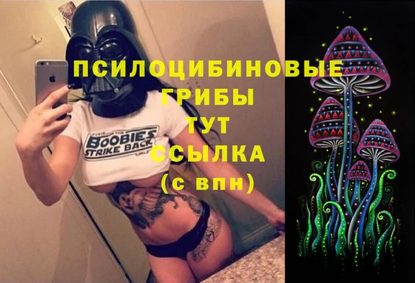 соль курить ск Алексеевка