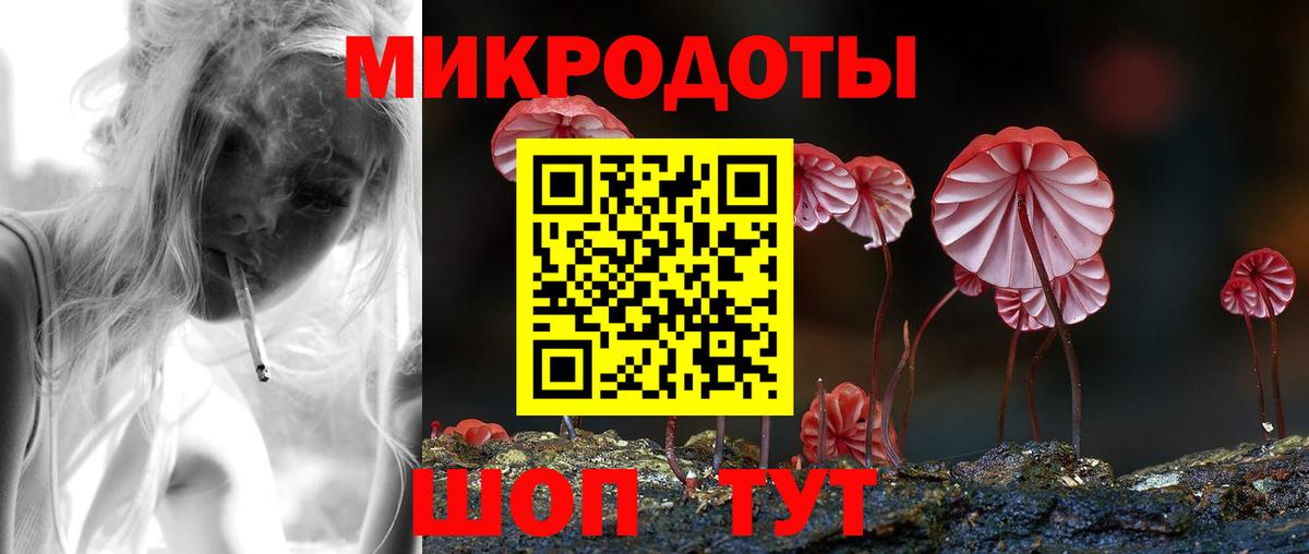 Галлюциногенные грибы Psilocybe Уссурийск
